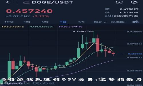 如何使用B特派钱包进行BSV交易：完整指南与实用技巧