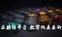 探索迪拜区块链平台：数