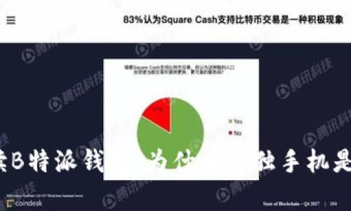 全方位解读B特派钱包：为什么单独手机是最佳选择？