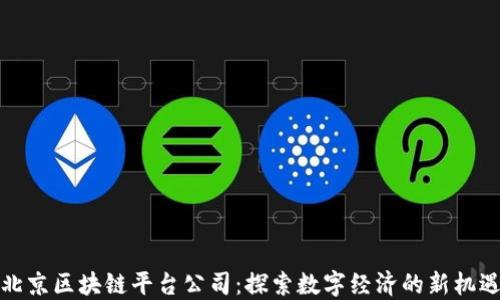 
北京区块链平台公司：探索数字经济的新机遇