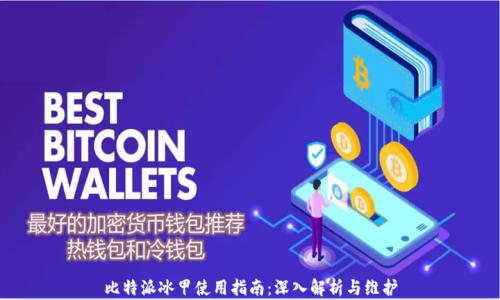 
比特派冰甲使用指南：深入解析与维护