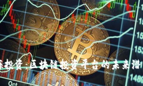 深入探索天海投资:区块链投资平台的未来潜力与风险分析