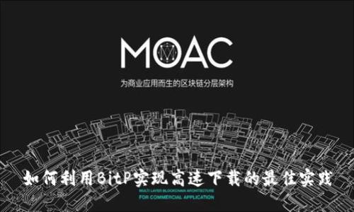 如何利用BitP实现高速下载的最佳实践