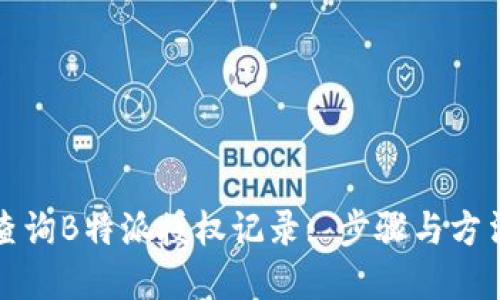 如何查询B特派授权记录: 步骤与方法详解