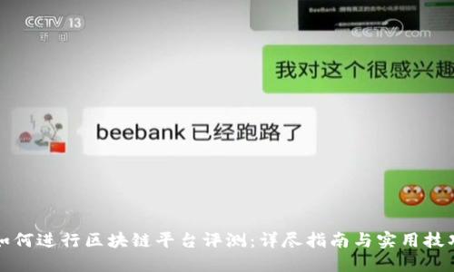 如何进行区块链平台评测：详尽指南与实用技巧