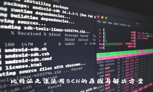 比特派无法使用BCH的原因与解决方案