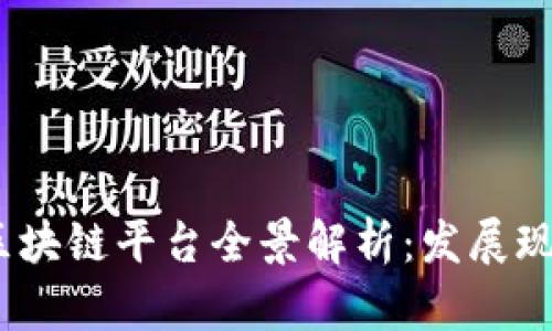 2023年正规区块链平台全景解析：发展现状与未来趋势