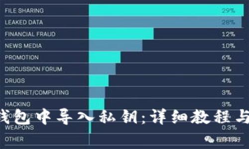 如何在B特派钱包中导入私钥：详细教程与常见问题解析