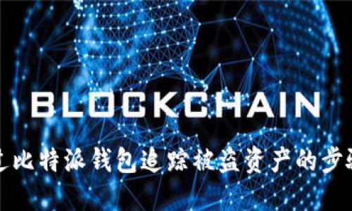 如何通过比特派钱包追踪被盗资产的步骤与技巧