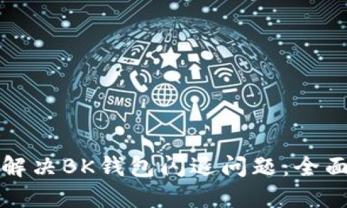 如何解决BK钱包闪退问题：全面指南