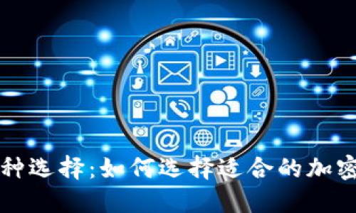 比特派币种选择：如何选择适合的加密货币投资