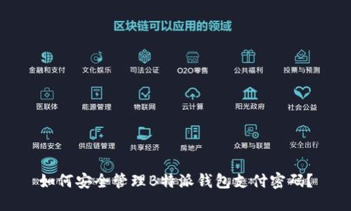 如何安全管理B特派钱包支付密码？