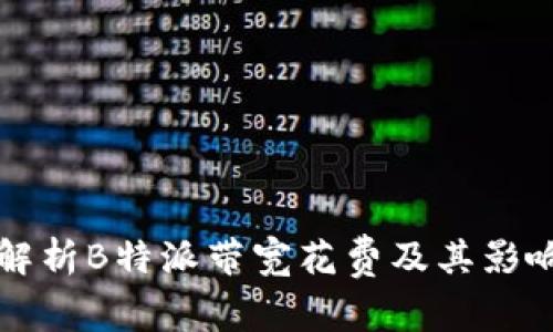 全面解析B特派带宽花费及其影响因素