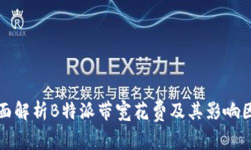 全面解析B特派带宽花费及其影响因素
