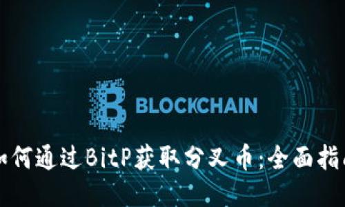 如何通过BitP获取分叉币：全面指南