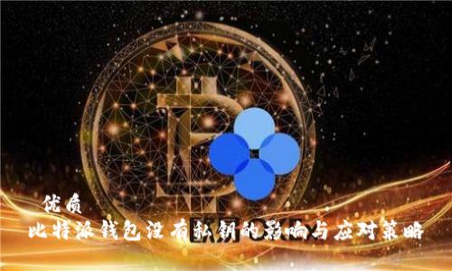  优质
比特派钱包没有私钥的影响与应对策略