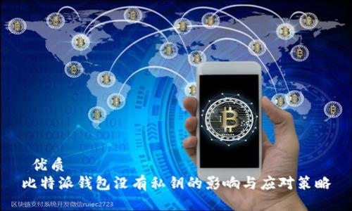  优质
比特派钱包没有私钥的影响与应对策略