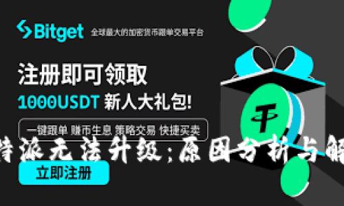 为何B特派无法升级：原因分析与解决方案