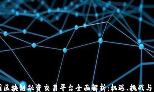 
heading
    中国区块链融资交易平台全面解析：机遇、挑战与未来发展