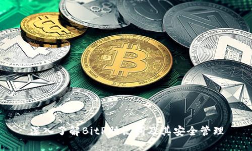 深入了解BitP助记词及其安全管理