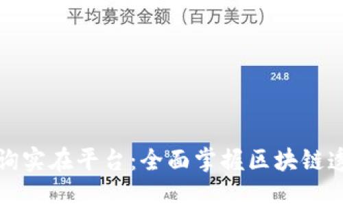 区块链地址查询实在平台：全面掌握区块链透明性与安全性