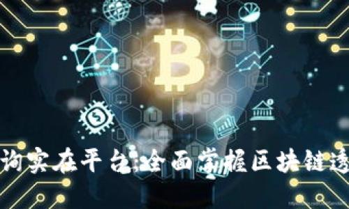 区块链地址查询实在平台：全面掌握区块链透明性与安全性