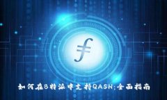 如何在B特派中支持QASH：全