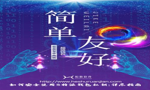 如何安全使用B特派钱包私钥：详尽指南