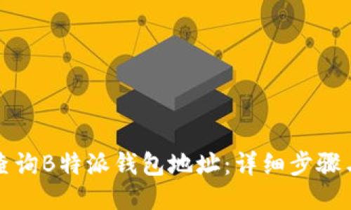 如何查询B特派钱包地址：详细步骤与技巧