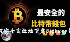如何安全高效地下载Bitk