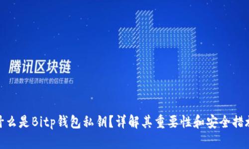 什么是Bitp钱包私钥？详解其重要性和安全措施