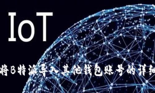 如何将B特派导入其他钱包账号的详细指南