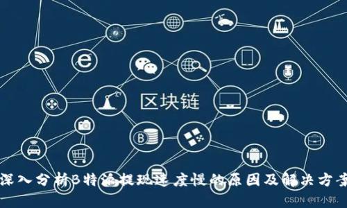 深入分析B特派提现速度慢的原因及解决方案