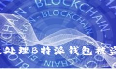 如何有效处理B特派钱包被