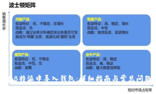 如何在B特派中导入钱包：详细指南与常见问题解答