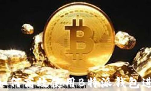 
全面解析：如何高效使用B特派钱包进行BTN交易