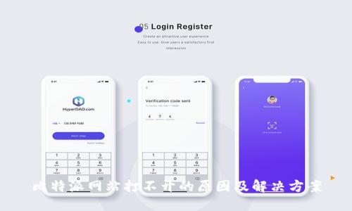 比特派网站打不开的原因及解决方案