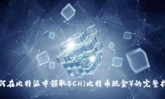如何在比特派中领取BCH（比特币现金）的完整指