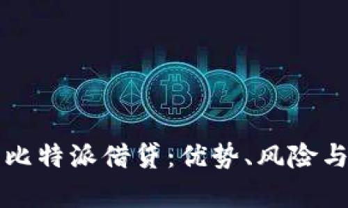 全面解析比特派借贷：优势、风险与选择指南