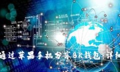 如何通过苹果手机分享BK钱包：详细指南