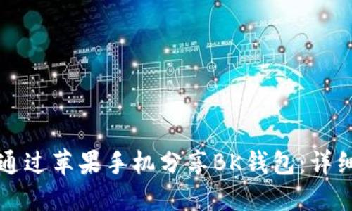 如何通过苹果手机分享BK钱包：详细指南