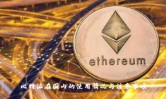 比特派在国内的使用情况与注意事项