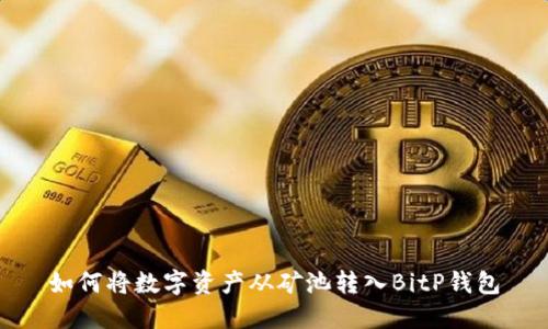 如何将数字资产从矿池转入BitP钱包