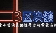 探索小蜜淘区块链平台的