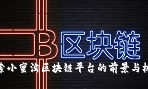 探索小蜜淘区块链平台的前景与机遇