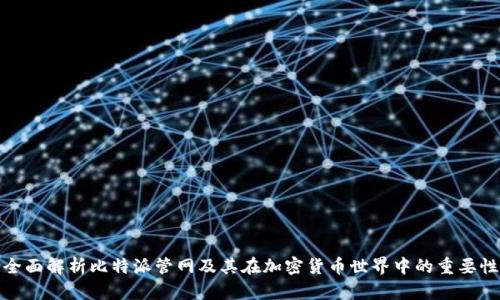 全面解析比特派管网及其在加密货币世界中的重要性