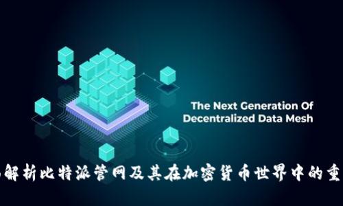 全面解析比特派管网及其在加密货币世界中的重要性