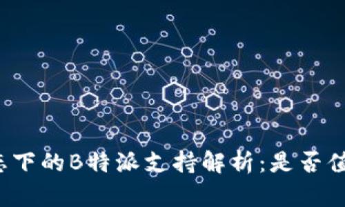 波卡生态下的B特派支持解析：是否值得投资？