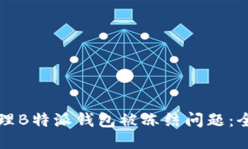如何处理B特派钱包被冻结问题：全面指南