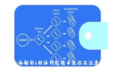 全面解析b特派钱包转币流程及注意事项